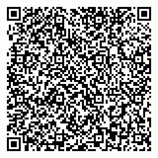 vCard 79393863699