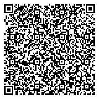vCard 79393863701