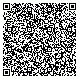 vCard 79393863703