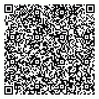 vCard 79393863705