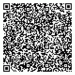 vCard 79393863713