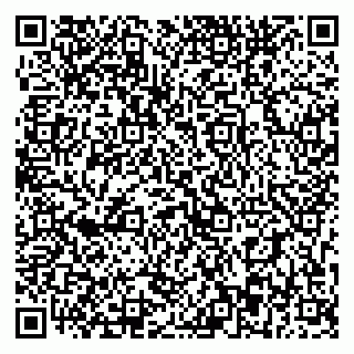vCard 79393863715