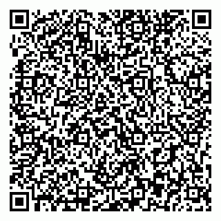 vCard 79393863720