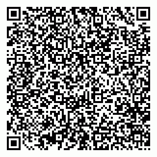 vCard 79393863721