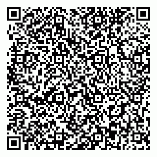 vCard 79393863725