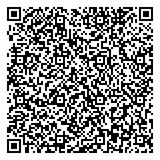 vCard 79393863729