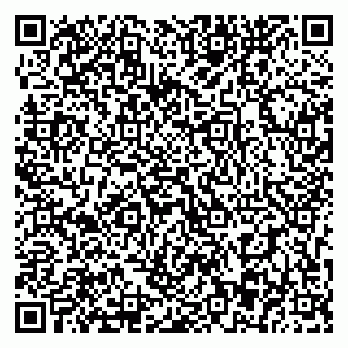 vCard 79393863730