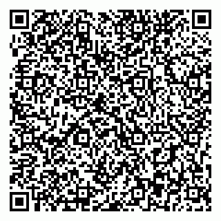 vCard 79393863731