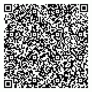 vCard 79393863732
