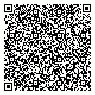 vCard 79393863733