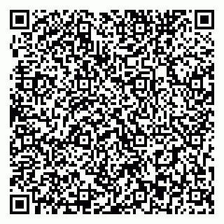 vCard 79393863741