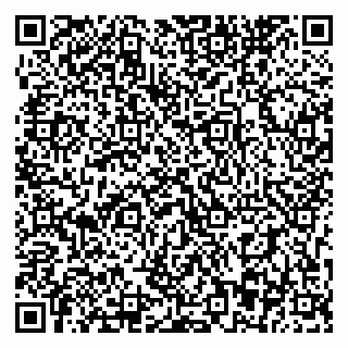 vCard 79393863768