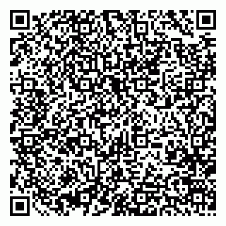 vCard 79393863771