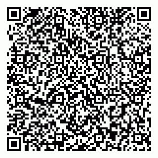 vCard 79393863772