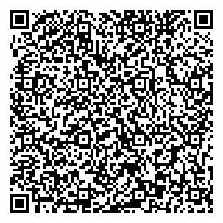 vCard 79393863776