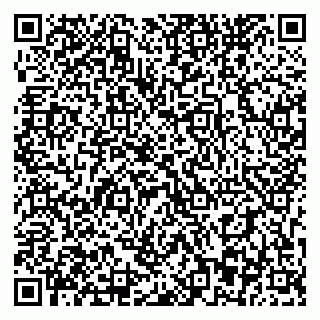 vCard 79393863778