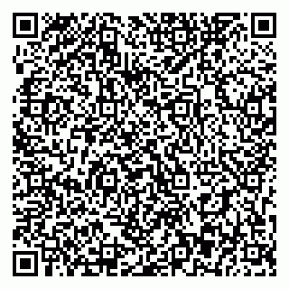 vCard 79393863782