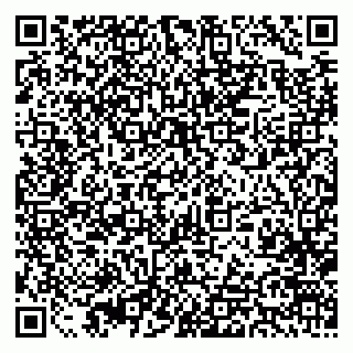 vCard 79393863801