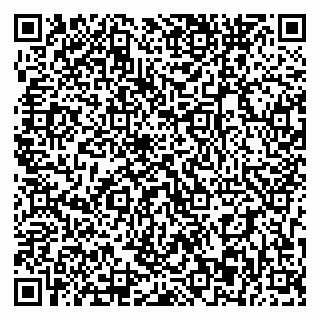 vCard 79393863804