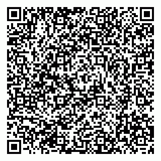 vCard 79393863808