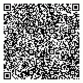vCard 79393863810