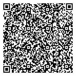 vCard 79393863811