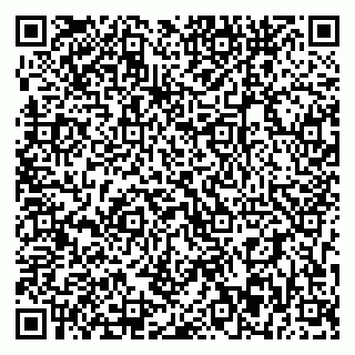 vCard 79393863813