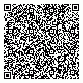 vCard 79393863820