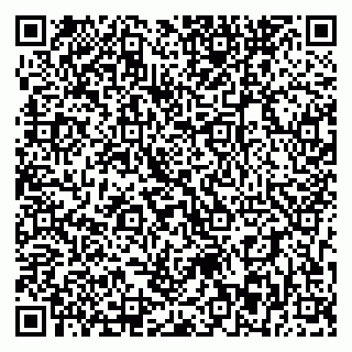vCard 79393863821