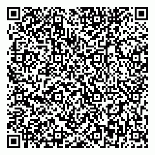 vCard 79393863839
