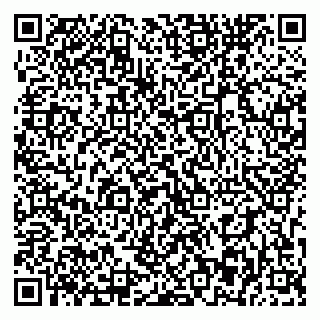 vCard 79393863840