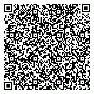 vCard 79393863845