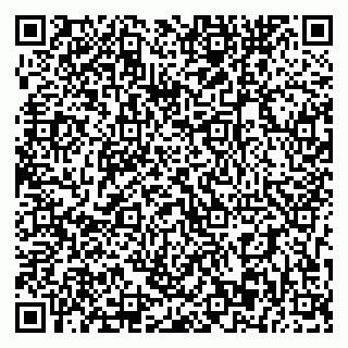 vCard 79393863846
