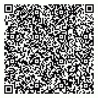 vCard 79393863857