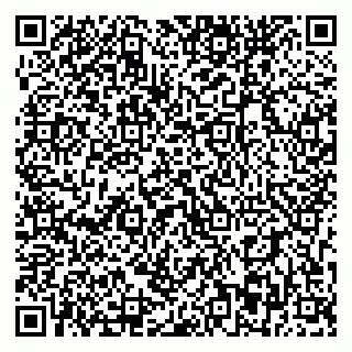 vCard 79393863859