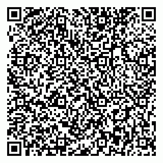 vCard 79393863860