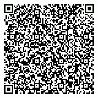 vCard 79393863861