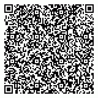 vCard 79393863862