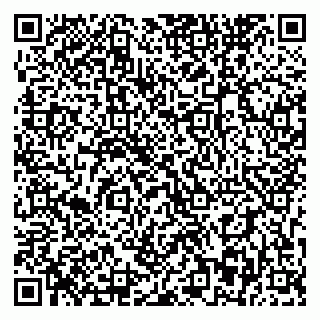 vCard 79393863868
