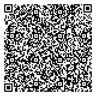 vCard 79393863869