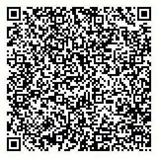 vCard 79393863870