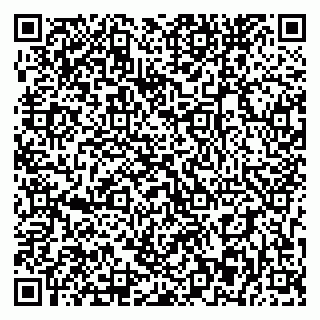 vCard 79393863872