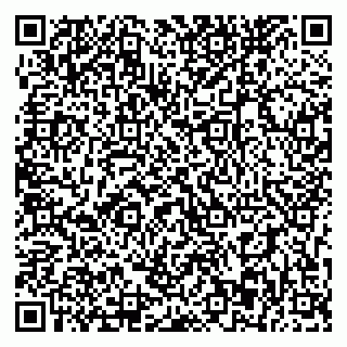 vCard 79393863874