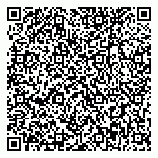 vCard 79393863875