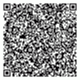 vCard 79393863877