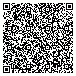 vCard 79393863879