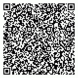 vCard 79393863883