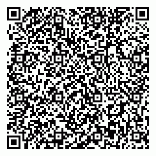 vCard 79393863884