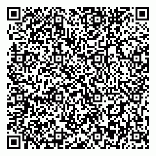 vCard 79393863900