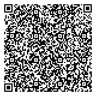 vCard 79393863902